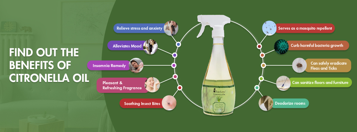 10 Benefits of Citronella Oil